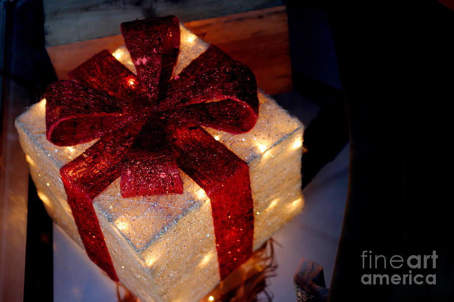 The Christmas Gift Photograph by Living Color Photography Lorraine Lynch
