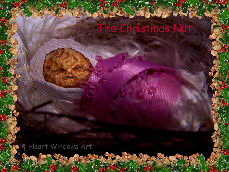 The Christmas Nut Digital Art by Kathleen Luther