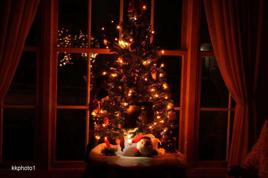 The Christmas Tree Photograph by Kay Novy