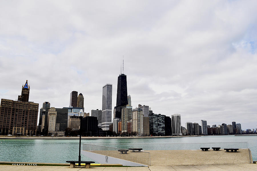 The City of Chicago Photograph by Verana Stark
