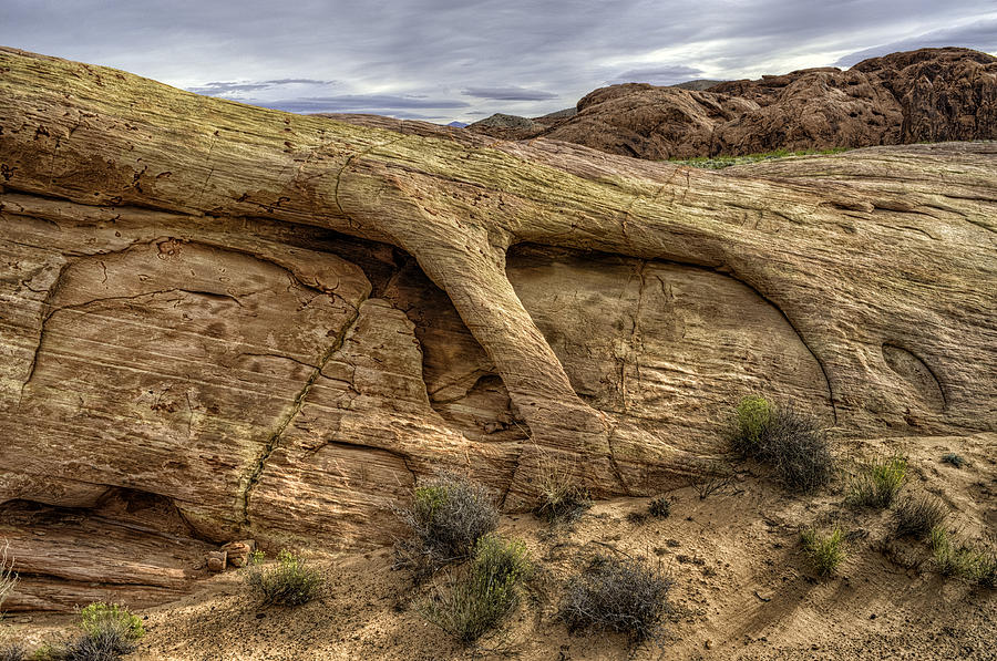 Hdr Photograph - The Claw by Stephen Campbell