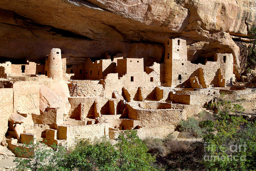 The Cliff Palace Ruin - Mesa Verde Photograph by Douglas Taylor