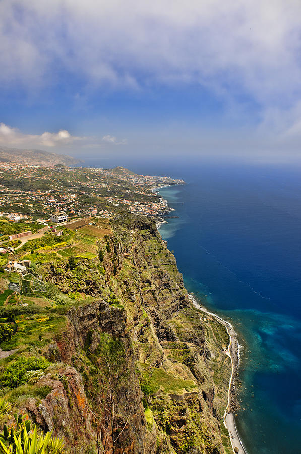 The Cliffs of Madeira Photograph by Betty Eich