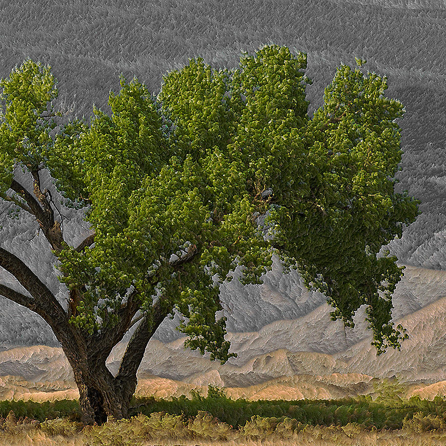 The Climbing Tree Digital Art by Ernest Echols