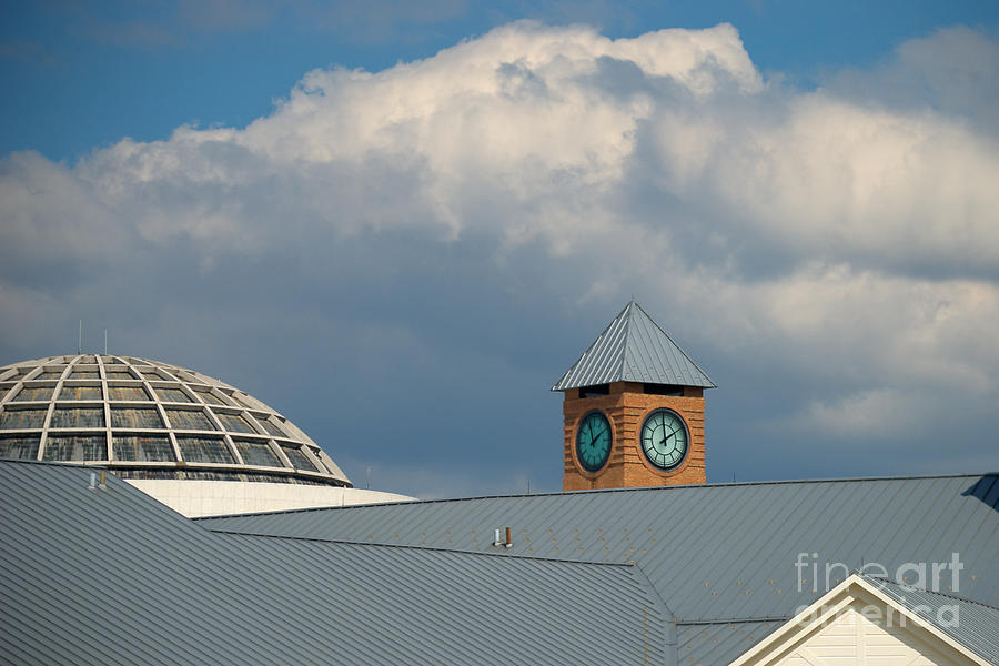 The Clock and the Dome Photograph by Mark Dodd