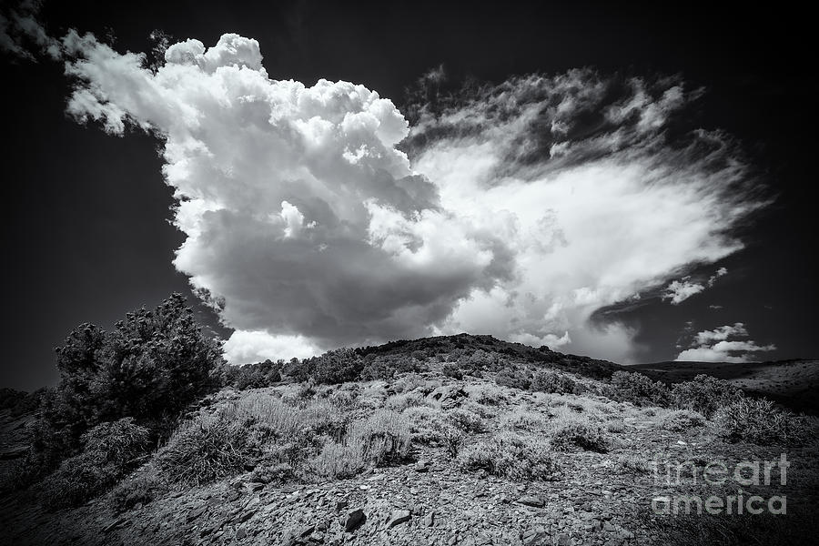 Nature Photograph - The Cloud by Jennifer Magallon