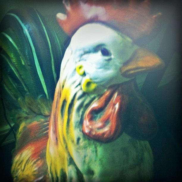 The Cock! Photograph by Mario Espinoza