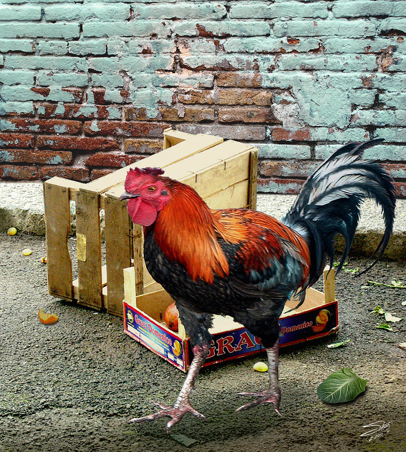 The Cockerels Treasure Digital Art by M Spadecaller