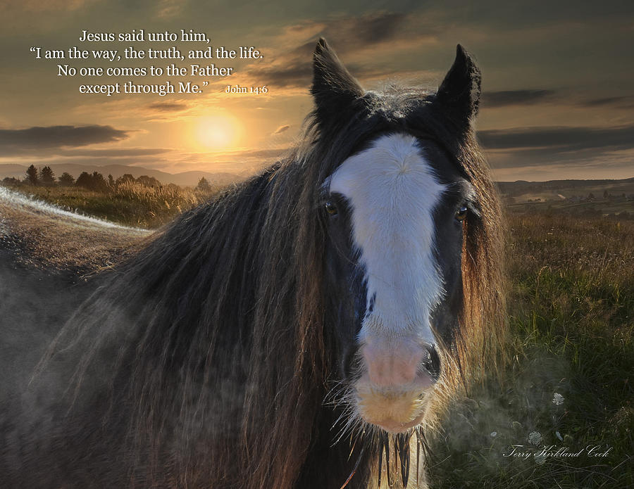 The Cold Morning Dew with Verse Photograph by Terry Kirkland Cook