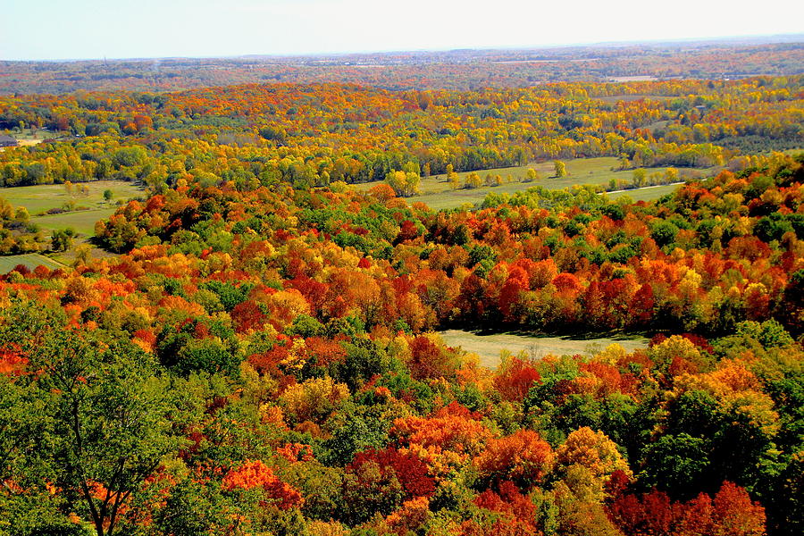 The Color of Fall 2 Photograph by Debbie Nobile - Fine Art America