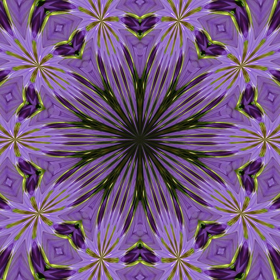 The Color Purple Digital Art by Scott Kingery