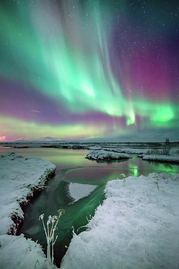 The Colors Of Aurora Photograph by Friðþjófur M.