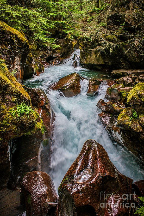 The Colors of Avalanche Creek Photograph by Jim McCain