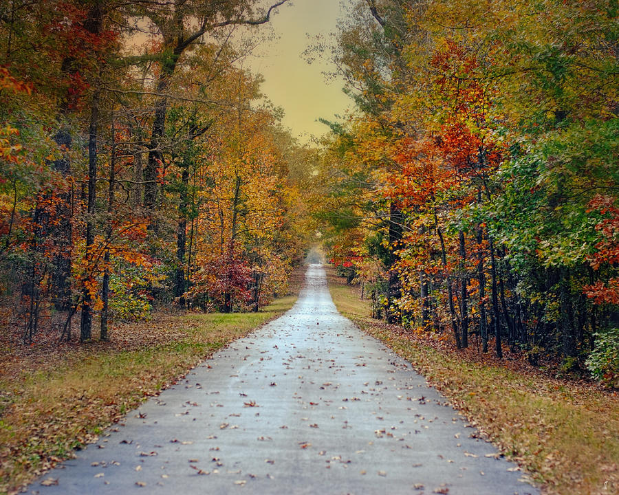 The Colors of Fall - Autumn Landscape Photograph by Jai Johnson