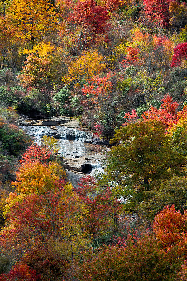 The Colors of Fall Photograph by John Haldane