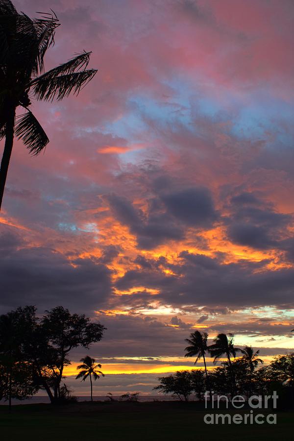 the colors of Maui Photograph by Peggy Hughes