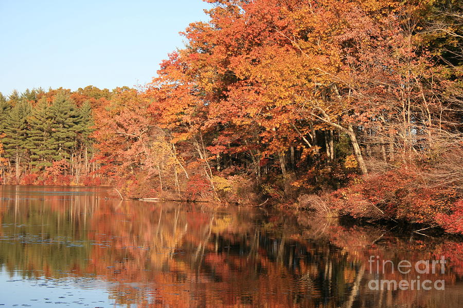 The colors of Rhode Island Photograph by Sandra Anthony - Pixels