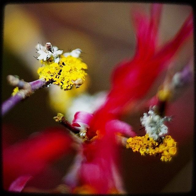 Igers Photograph - The Colors Of Spring Always Amaze Me by Kevin Smith