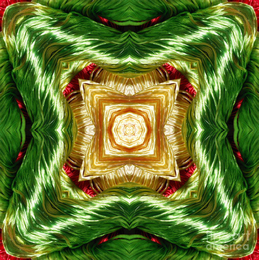 The Colours Of Christmas 2 Digital Art by Wendy Wilton