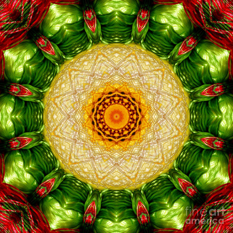 The Colours Of Christmas Digital Art by Wendy Wilton