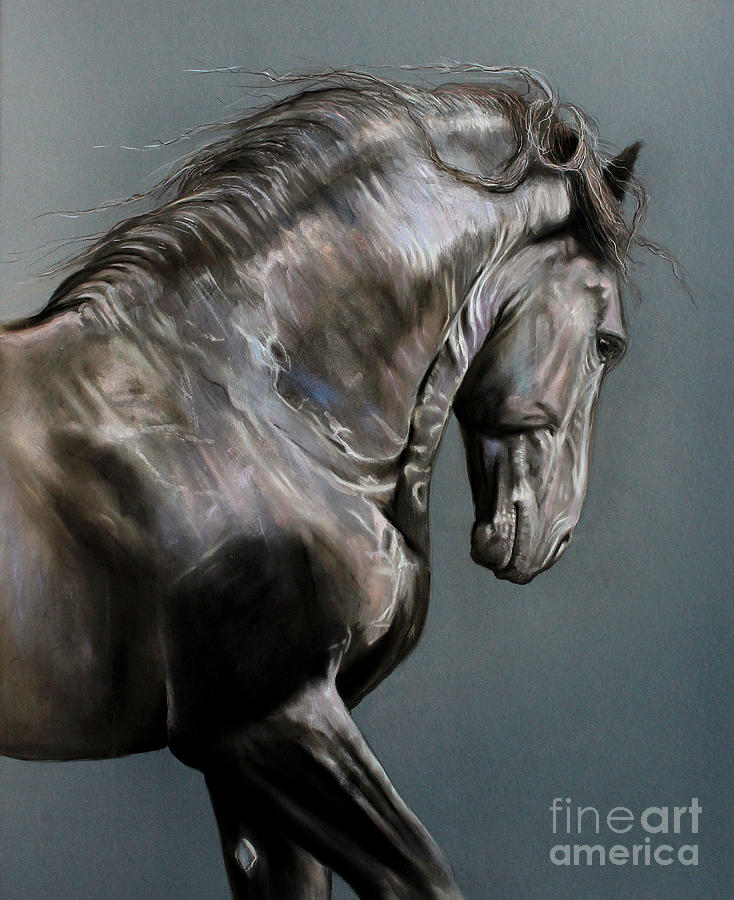 Horse Drawing - The Colours of Tunis by Caroline Collinson