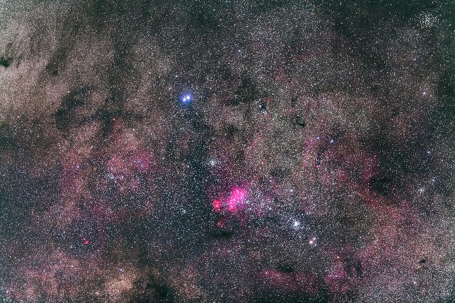 The Complex Region Of Ngc 6231 Photograph by Alan Dyer - Pixels