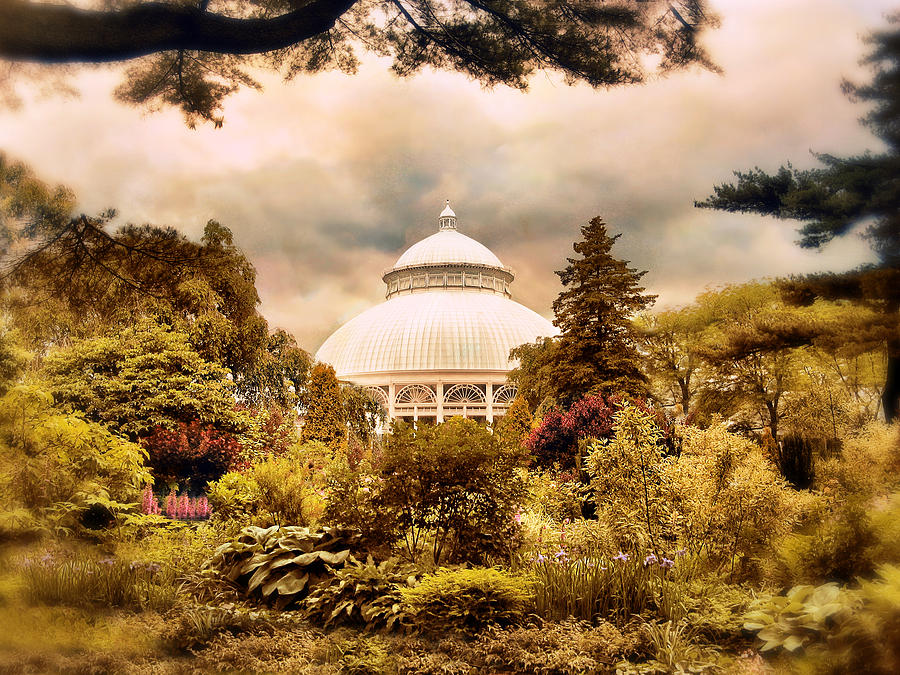 Nature Photograph - The Conservatory by Jessica Jenney