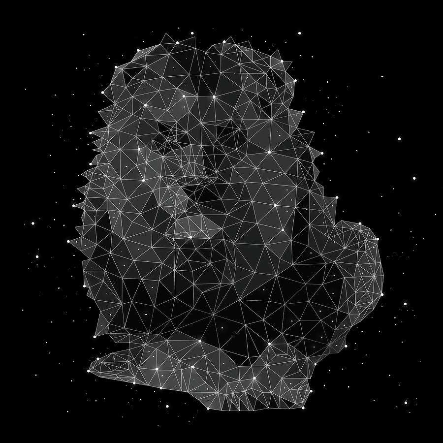 The Constellation Of Leo Digital Art by Malte Mueller