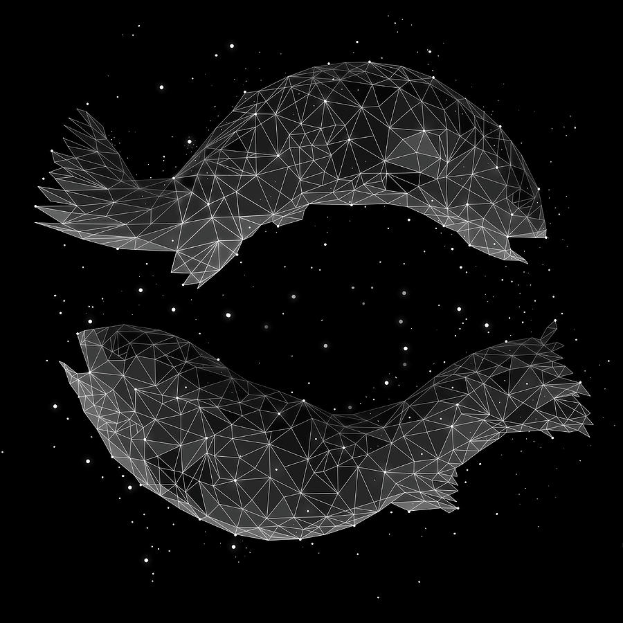 The Constellation Of Pisces Digital Art by Malte Mueller