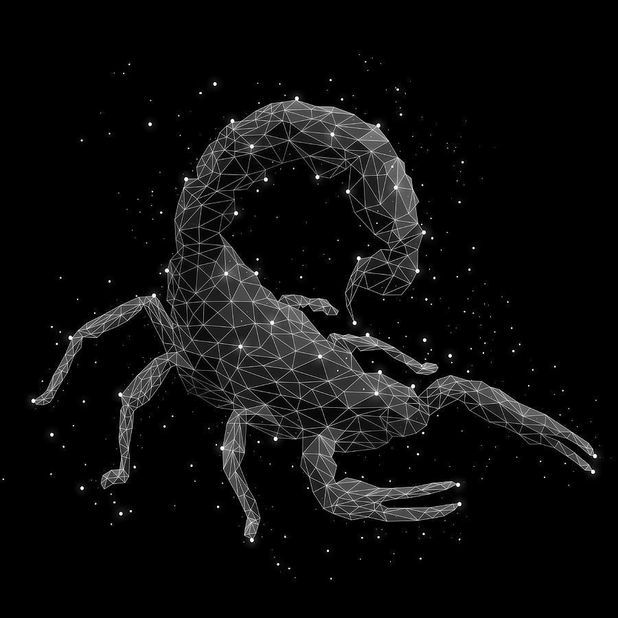 Space Digital Art - The Constellation Of Scorpion by Malte Mueller