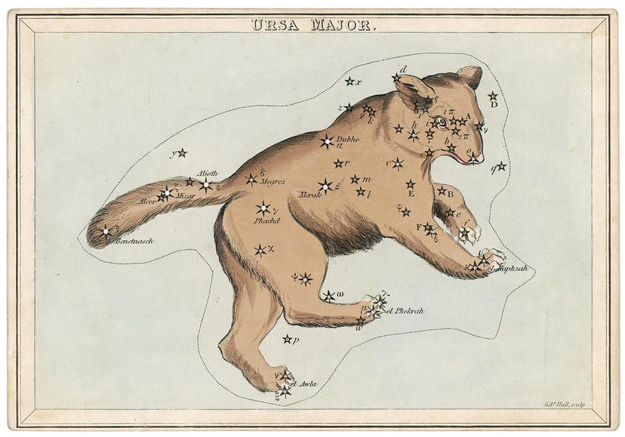 The Constellation Of Ursa Major Drawing by Mary Evans Picture Library   Pixels