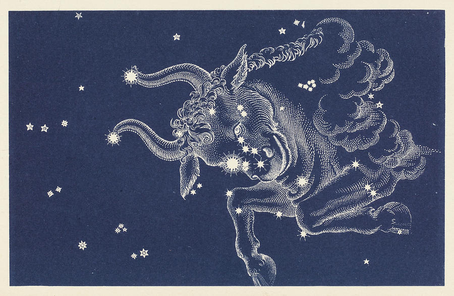 The Constellation Taurus Date Drawing by Mary Evans Picture Library
