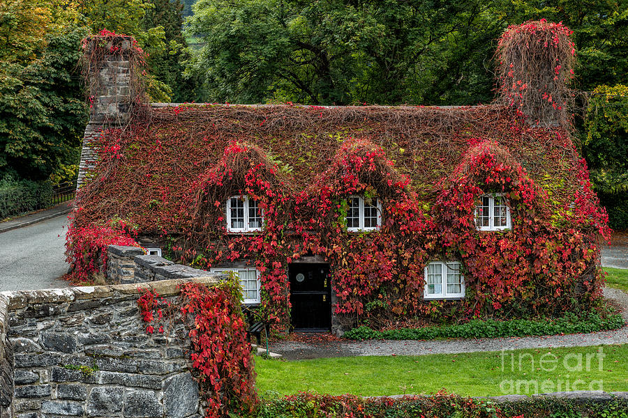 Architecture Photograph - The Cottage by Adrian Evans