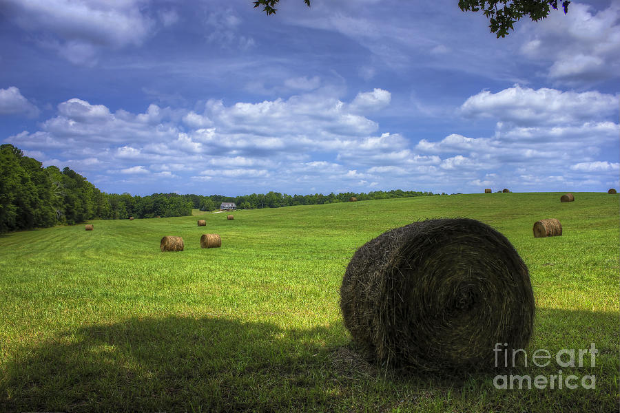 In The shade A Country House Hayfield Landscape Farming Art Photograph by Reid Callaway
