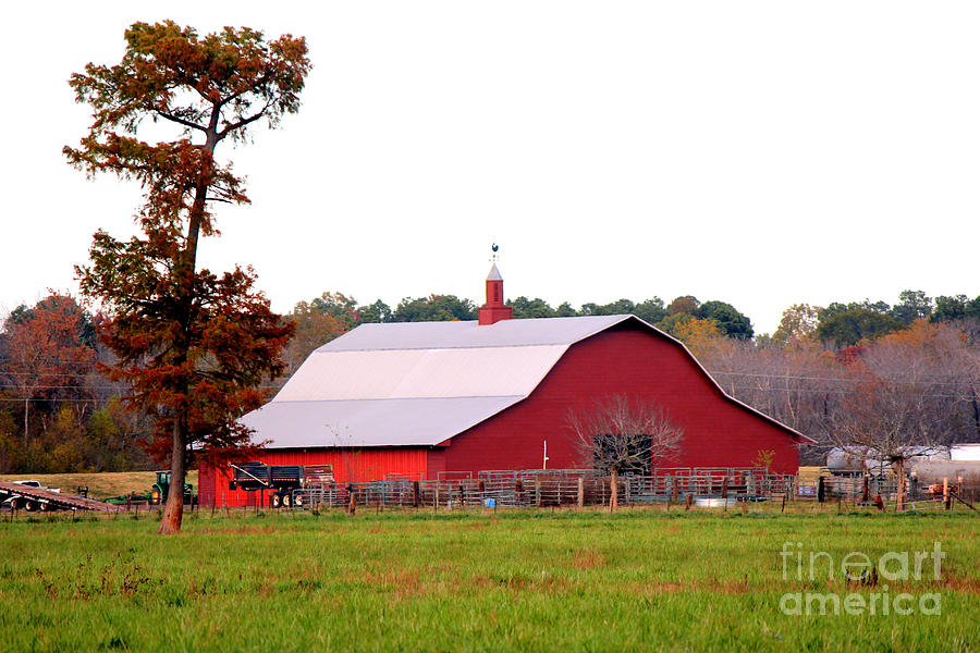 The Country Red Barn Photograph by Kathy  White