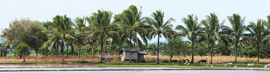 The Countryside Photograph by Armando William Evangelista - Fine Art ...