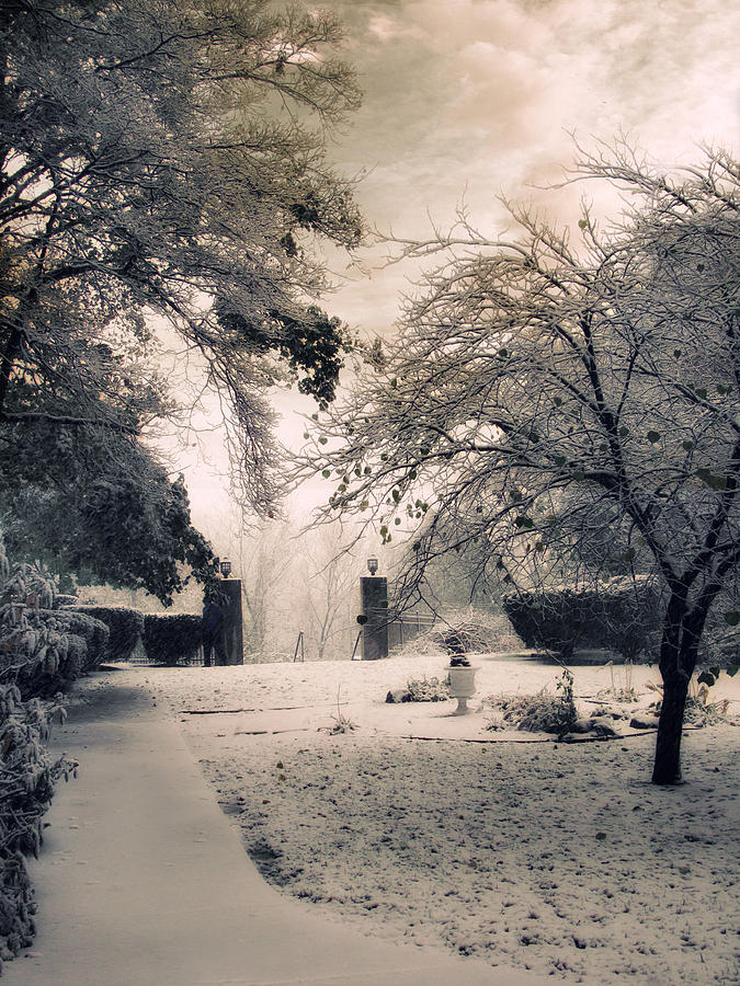 Winter Photograph - The Courtyard by Jessica Jenney