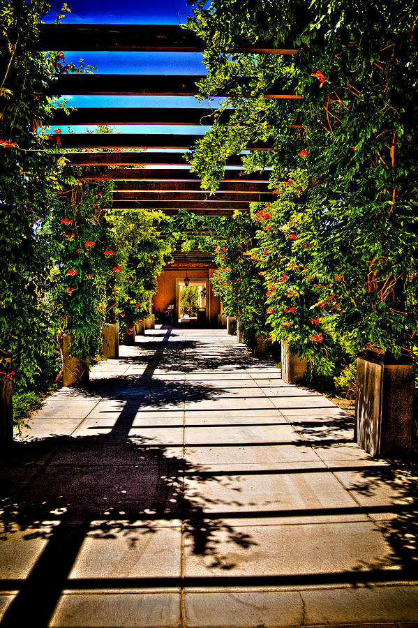 The Courtyard Walkway at Hotel Albuquerque Photograph by David Patterson