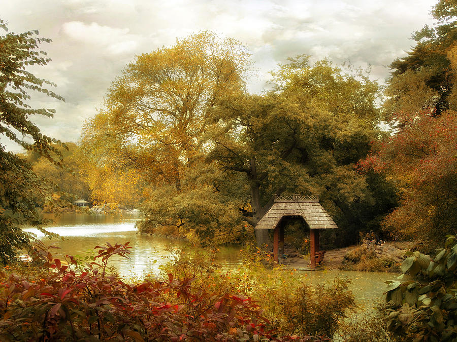 Central Park Photograph - The Cove by Jessica Jenney