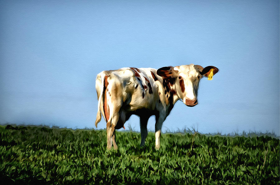 The Cow Photograph by Bill Cannon