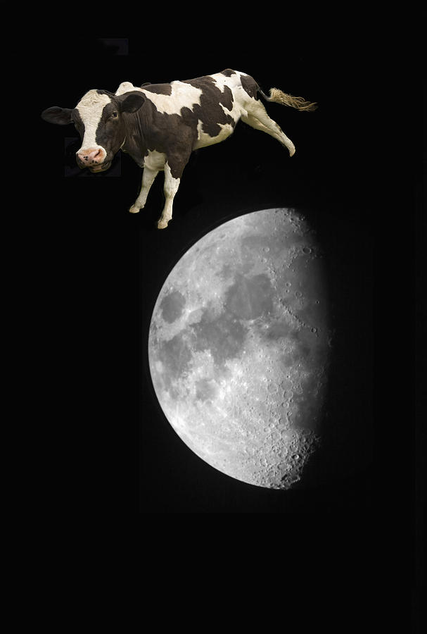 Space Photograph - The Cow Jumped Over The Moon by John Short