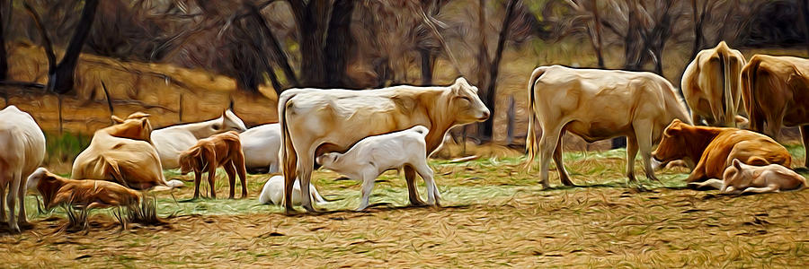 The Cows Panoramic Digital Art Digital Art by Ernest Echols