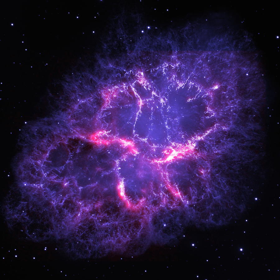 The Crab Nebula as Seen by Herschel and Hubble Photograph by Eric Glaser
