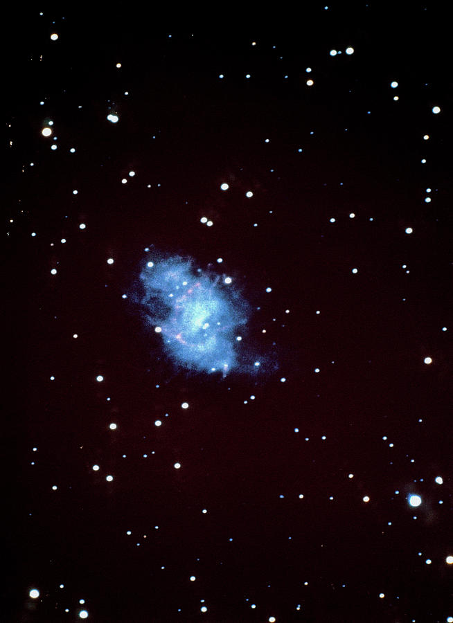The Crab Nebula Photograph by U.s. Naval Observatory/science Photo Library.