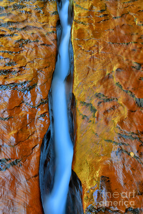 The Crack below The Subway Zion National Park Photograph by Peter Dang