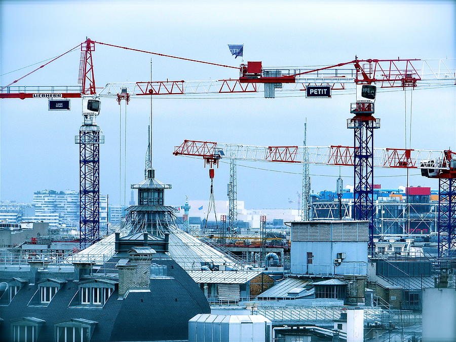 The Cranes Are Flying Photograph by Ira Shander