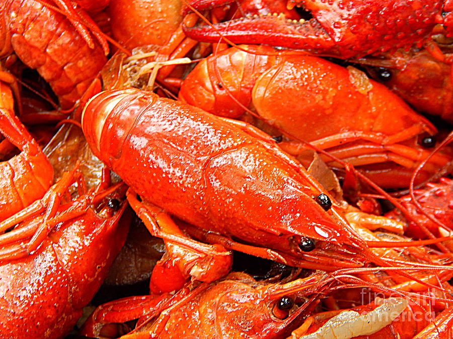 The Crawfish Boil Heads Or Tails In New Orleans Louisiana Photograph