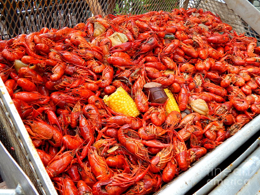 The Crawfish Boil In New Orleans Louisiana Photograph