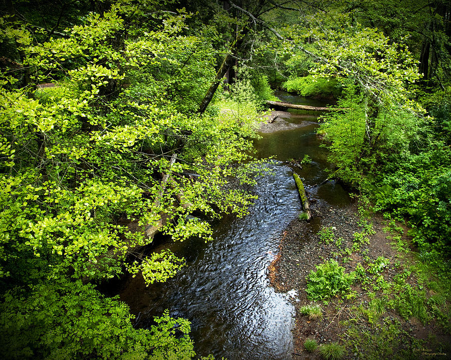 Landscape Photograph - The Creek by Dale Simmons