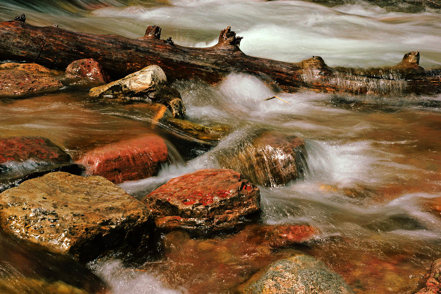 The Creek Flows Photograph by Daniel Woodrum